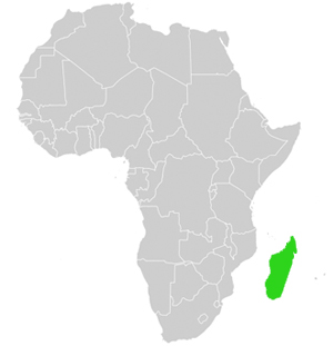 Madagaskar Lage in Afrika